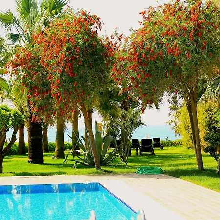 Augusto Boutique & Otel Alanya